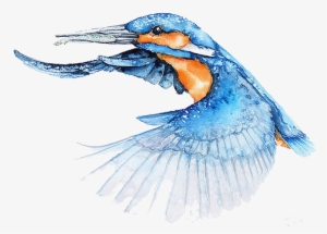 Bird Watercolor Painting Architect Illustrator - Bird Flying Watercolor Png