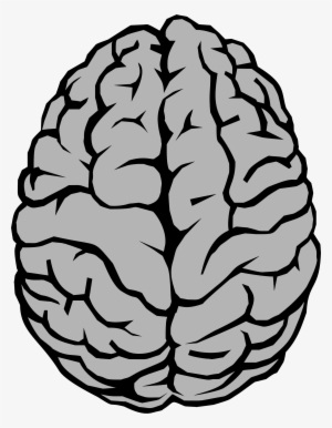 Banner Freeuse Stock Illustration Big Image Png - Brain Clip Art