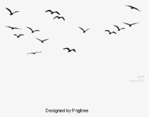 Birds, Birds, Animal, Birds Clipart Png Image And Clipart - Pássaros Png