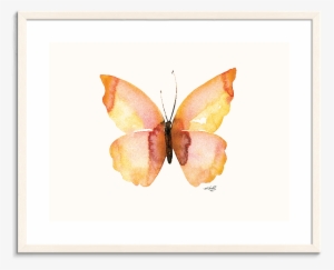 142kms Pfww Watercolor Butterfly 8