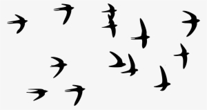Pigeon Flying In The Sky Png - Birds Flying In The Sky Png