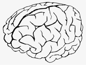 The Human Brain Coloring Book - Brain Coloring Page