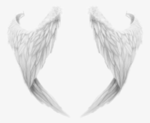 White Wings Png - Angel Wing Transparent Png