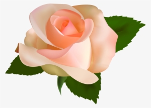 Beautiful Rose Png Clipart - Peach Rose Clip Art