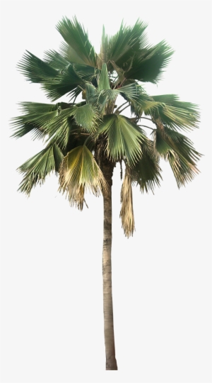 Free Icons Png - Open Rooftop House Design