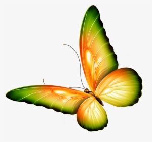 Deviantart Logo Clipart Butterfly Png - Clipart Flowers And Butterflies Border
