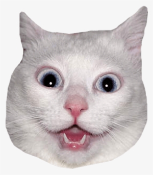 Download - Funny Energy Drink Memes