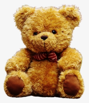 Teddy Bear Png Png