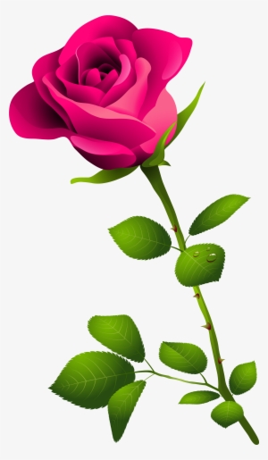 Pink Rose Clipart Transparent Png - Good Morning Image In Bengali