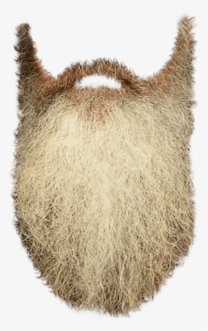 People - Beards - Beard Transparent Background