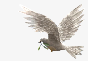 Dove Of Peace - Potala Palace