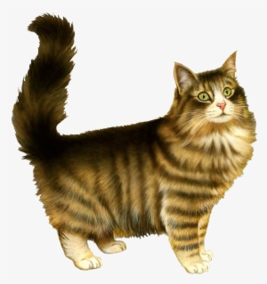 Cat Klipart Png Transparent Image - Valentines Day Cards Cats