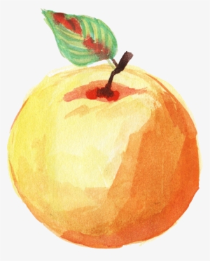Free Download - Watercolor Orange Fruit Png