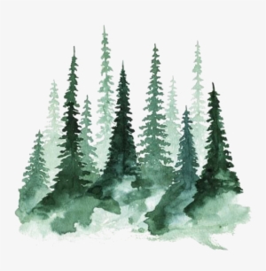 Forest Png Transparent Hd Photo - Watercolor Trees
