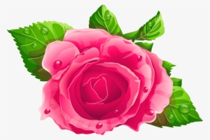Pink Rose Clipart Png