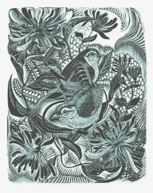 Drawing Forest Watercolor Painting Tree Bamboo - English Wood-engraving 1900-1950