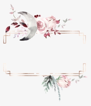 This Graphics Is Creative Bird Box Transparent Watercolor - 성규 콘서트 티켓 금액