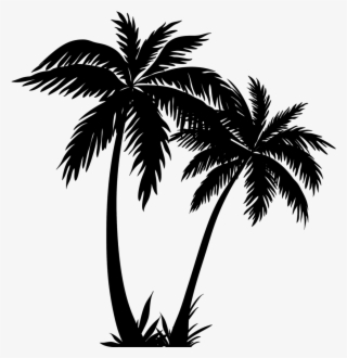 Palm Tree Clipart - Palm Tree Line Art