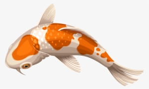 Carp Drawing Coy Fish - Koi Fish Transparent Background