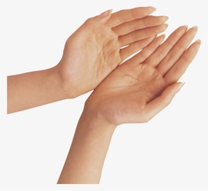 Two Hands Png Clipart Image - Hand Png