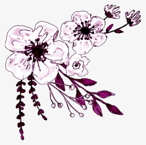 Watercolor White Flower Clipart - Logo De Ministerio De La Mujer Adventista