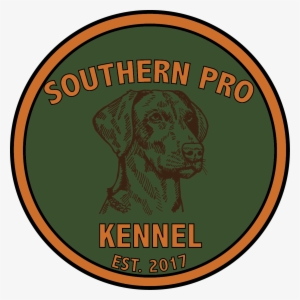 Watercolor Business Cardswatercolor Logoarrow Logoflower - Albany State University