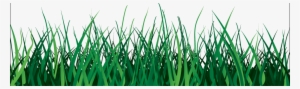 Transparent Background Grass Gif