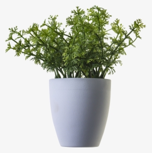 Free Icons Png - Plant In Pot Png