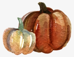Pumpkin Watercolor Painting - Png Pumpkin Water Color