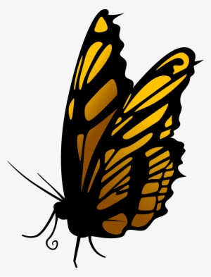 Butterfly Png Clip Art