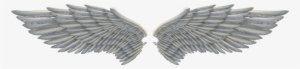White Png Image Arts - Transparent Angel Wing Png