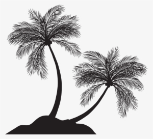Palm Tree Png