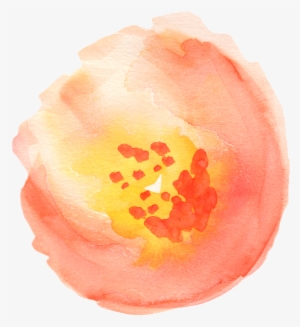 Free Fall Watercolor Floral Clip Art- So Pretty - Dark Peach Aesthetic Transparent Background