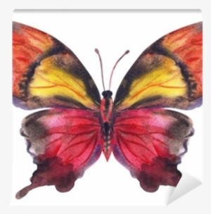 Maroon-yellow Butterfly, Watercolor Painting - Watercolor Painting