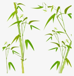 Png Bamboo Vector Freeuse - Green Bamboo Png