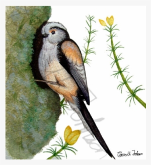 Watercolor Painting