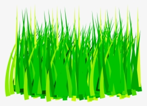 Grass Png