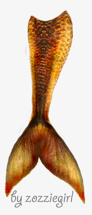 Mermaid Tail Transparent - Mermaid Tail Transparent Png