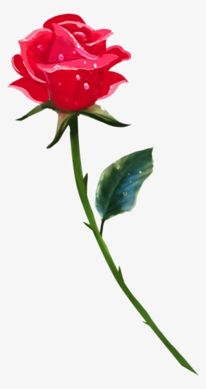 Single Rose Png Background Image - Single Rose Png