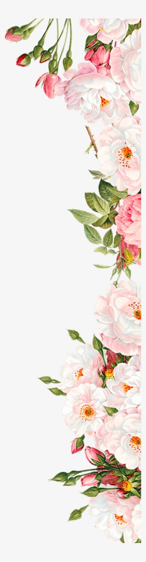 Floral Border Png Vectors Psd And Clipart For Free Download Pngtree
