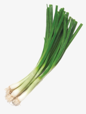 Bengard Ranch Green Onions - Green Onions Png