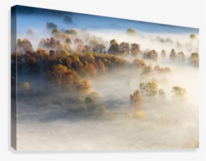 Trees In The Morning Mist Canvas Print - Painting