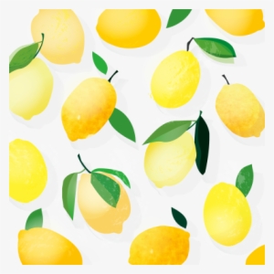 Citrus Pattern Design, 2016moa Engblomcitrus Pattern - Meyer Lemon