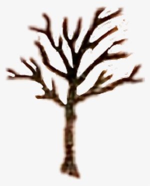 Report Abuse - Xxxtentacion Tree