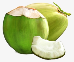 Benefits For Cosmetic Applications - Green Coconut Fruit Png