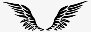 Clipart - Wing Svg