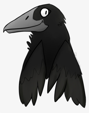 Details - American Crow