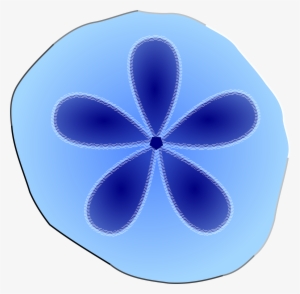 Sand Dollar Svg Clip Arts 600 X 589 Px