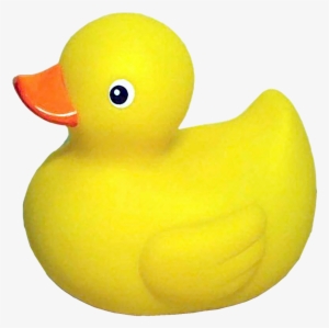 Dell Logo Transparent Background - Rubber Ducky Transparent Background