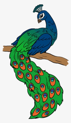 How To Draw A Peacock In A Few Easy Steps - Easy Drawing Of Peacock